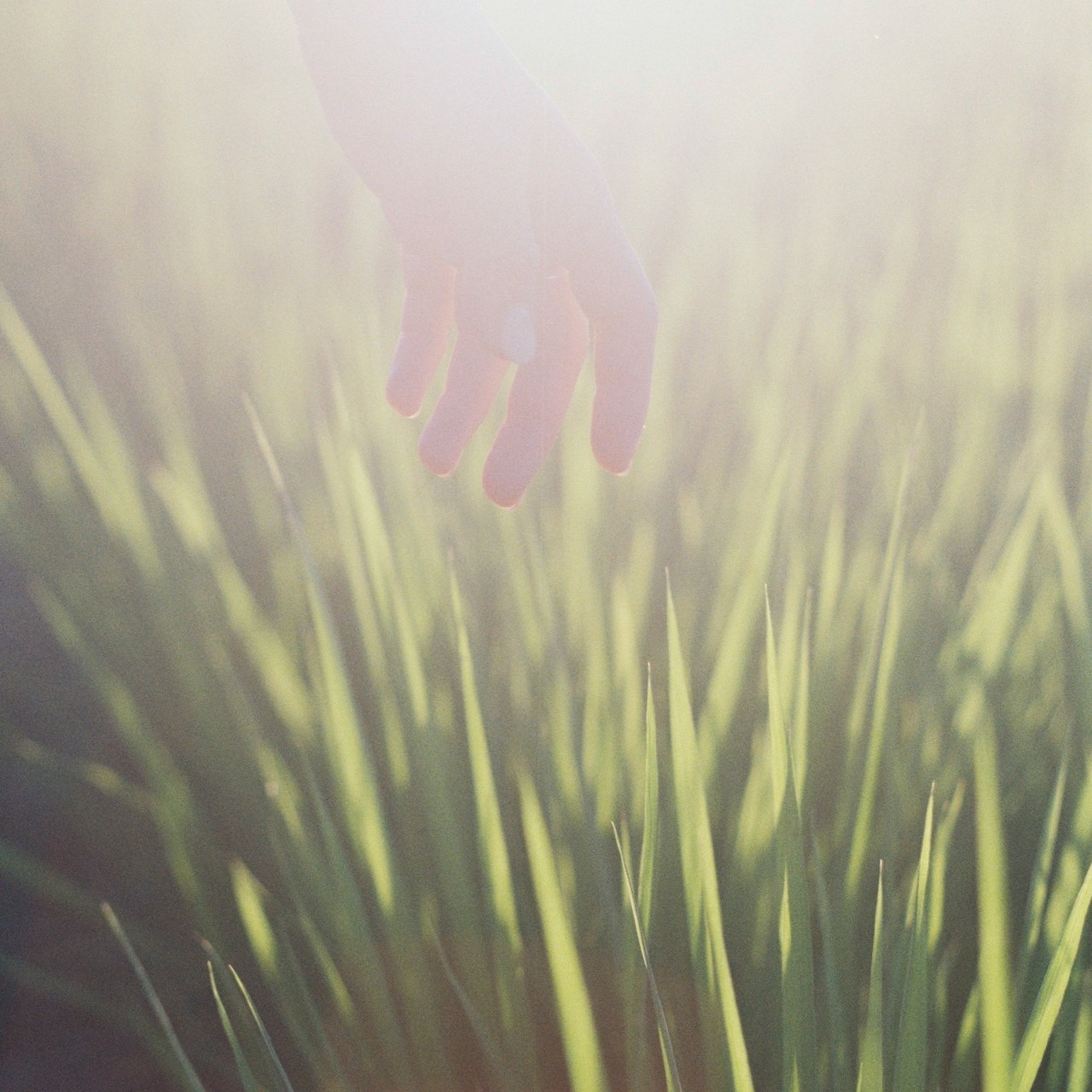 New Release] Hakubi「何者」Pre-add / Pre-save キャンペーン開催